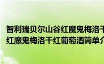 智利瑞贝尔山谷红魔鬼梅洛干红葡萄酒(对于智利瑞贝尔山谷红魔鬼梅洛干红葡萄酒简单介绍)