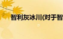 智利灰冰川(对于智利灰冰川简单介绍)
