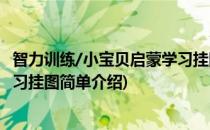 智力训练/小宝贝启蒙学习挂图(对于智力训练/小宝贝启蒙学习挂图简单介绍)
