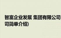 智富企业发展 集团有限公司(对于智富企业发展 集团有限公司简单介绍)