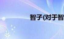 智子(对于智子简单介绍)