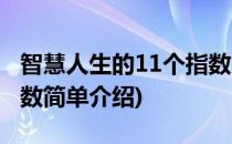 智慧人生的11个指数(对于智慧人生的11个指数简单介绍)
