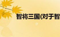 智将三国(对于智将三国简单介绍)
