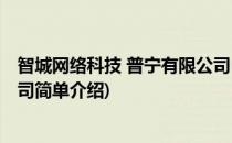 智城网络科技 普宁有限公司(对于智城网络科技 普宁有限公司简单介绍)