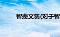 智悲文集(对于智悲文集简单介绍)