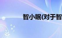 智小眠(对于智小眠简单介绍)
