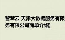 智慧云 天津大数据服务有限公司(对于智慧云 天津大数据服务有限公司简单介绍)