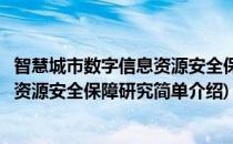 智慧城市数字信息资源安全保障研究(对于智慧城市数字信息资源安全保障研究简单介绍)