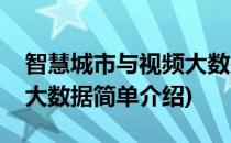 智慧城市与视频大数据(对于智慧城市与视频大数据简单介绍)
