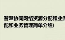 智慧协同网络资源分配和业务管理(对于智慧协同网络资源分配和业务管理简单介绍)