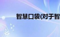 智慧口袋(对于智慧口袋简单介绍)