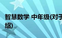 智慧数学 中年级(对于智慧数学 中年级简单介绍)