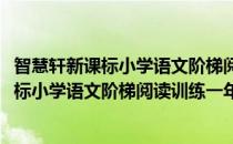 智慧轩新课标小学语文阶梯阅读训练一年级(对于智慧轩新课标小学语文阶梯阅读训练一年级简单介绍)