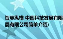 智慧纵横 中国科技发展有限公司(对于智慧纵横 中国科技发展有限公司简单介绍)