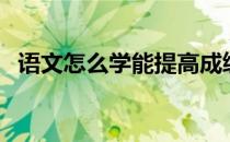 语文怎么学能提高成绩初中（语文怎么学）