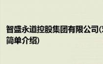 智盛永道控股集团有限公司(对于智盛永道控股集团有限公司简单介绍)