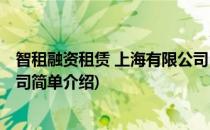 智租融资租赁 上海有限公司(对于智租融资租赁 上海有限公司简单介绍)