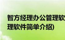 智方经理办公管理软件(对于智方经理办公管理软件简单介绍)