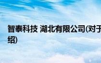 智泰科技 湖北有限公司(对于智泰科技 湖北有限公司简单介绍)