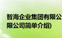 智海企业集团有限公司(对于智海企业集团有限公司简单介绍)
