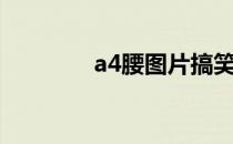 a4腰图片搞笑（a4腰图片）