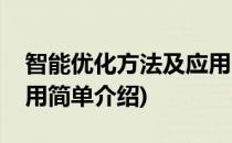 智能优化方法及应用(对于智能优化方法及应用简单介绍)