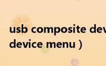 usb composite device驱动下载（startup device menu）