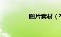 图片素材（芍药根图片）