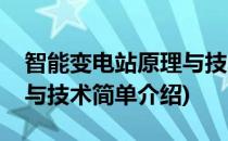 智能变电站原理与技术(对于智能变电站原理与技术简单介绍)