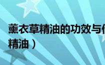 薰衣草精油的功效与作用及使用方法（熏衣草精油）