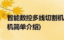 智能数控多线切割机(对于智能数控多线切割机简单介绍)