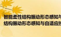 智能柔性结构振动形态感知与自适应控制研究(对于智能柔性结构振动形态感知与自适应控制研究简单介绍)
