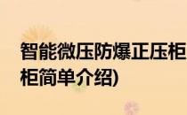 智能微压防爆正压柜(对于智能微压防爆正压柜简单介绍)