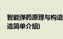 智能弹药原理与构造(对于智能弹药原理与构造简单介绍)