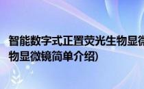 智能数字式正置荧光生物显微镜(对于智能数字式正置荧光生物显微镜简单介绍)