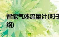 智能气体流量计(对于智能气体流量计简单介绍)