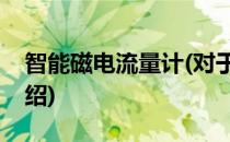 智能磁电流量计(对于智能磁电流量计简单介绍)