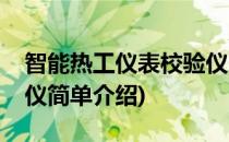 智能热工仪表校验仪(对于智能热工仪表校验仪简单介绍)