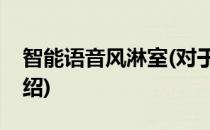智能语音风淋室(对于智能语音风淋室简单介绍)