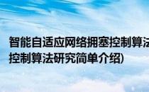 智能自适应网络拥塞控制算法研究(对于智能自适应网络拥塞控制算法研究简单介绍)