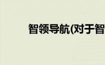 智领导航(对于智领导航简单介绍)