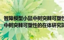 智障模型小鼠中树突棘可塑性的在体研究(对于智障模型小鼠中树突棘可塑性的在体研究简单介绍)