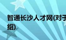 智通长沙人才网(对于智通长沙人才网简单介绍)