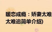暖恋成瘾：娇妻太难追(对于暖恋成瘾：娇妻太难追简单介绍)