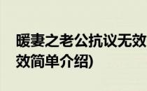 暖妻之老公抗议无效(对于暖妻之老公抗议无效简单介绍)