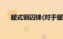 暖式锢囚锋(对于暖式锢囚锋简单介绍)