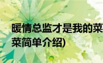 暖情总监才是我的菜(对于暖情总监才是我的菜简单介绍)