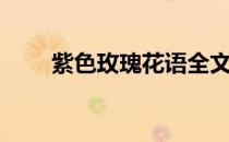 紫色玫瑰花语全文（紫色玫瑰花语）