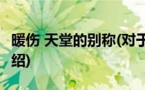暖伤 天堂的别称(对于暖伤 天堂的别称简单介绍)