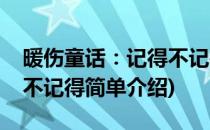 暖伤童话：记得不记得(对于暖伤童话：记得不记得简单介绍)